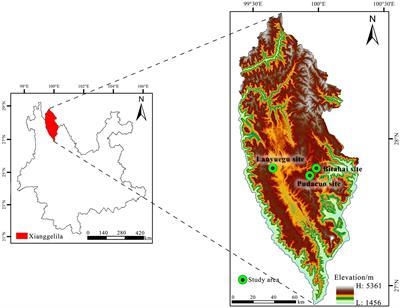 Changes in functional traits and diversity of typical alpine grasslands after a short-term trampling disturbance